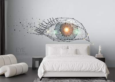 The particles, geometric art, line and dot of Eye graphic. Wall mural