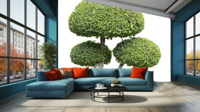 Tree isolated on white background Wall mural