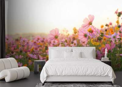 beautiful cosmos flower field Wall mural