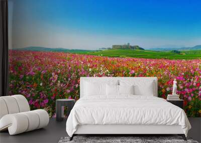 Landscape nature background of beautiful cosmos flower field Wall mural