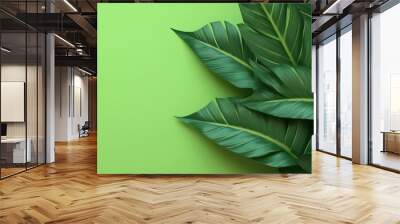 Dark green leaves background. Minimal neutral aesthetic. Wall mural