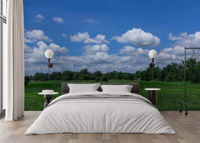 green field and blue sky Wall mural