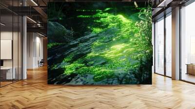 Glowing bio luminescent algae in dark water Wall mural