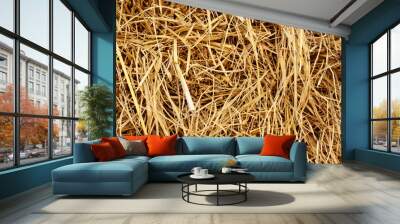 Dry rice straw texture for background and design, hay bale pattern. Wall mural