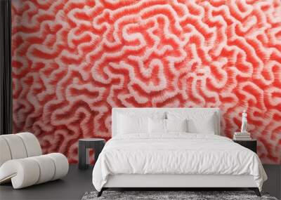 Abstract background in trendy coral color - Organic texture of the hard brain coral Wall mural