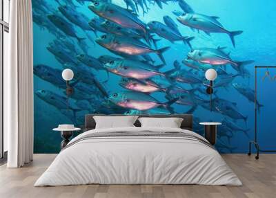 Large shoal of mackerels, sea ecosystem Wall mural