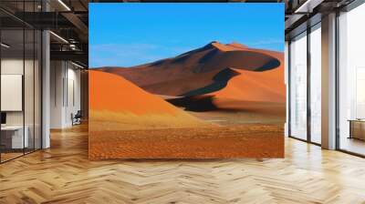 Namib-Naukluft national park, desert landscape, the highest world dunas. Wall mural