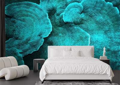 Organic texture of  Elephant skin hard coral (Pachyseris speciosa) as an abstract background Wall mural