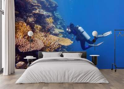 Scuba diver near the coral wall photographing colorful coral reef Wall mural