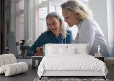 Two happy businesswomen using laptop at desk in office together Wall mural