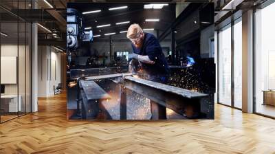 Welder using circular grinder while working at factory Wall mural