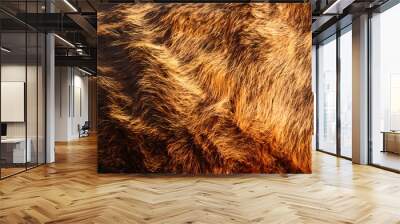 Grey cow's fur full frame  Wall mural