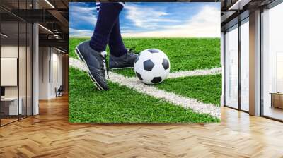 foot kicking soccer ball Wall mural