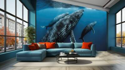 A family of humpback whales swimming in the ocean. Marine Wildlife in their Natural Habitat. Wall mural