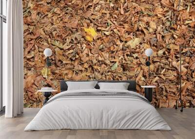 Autumn leaves Wall mural