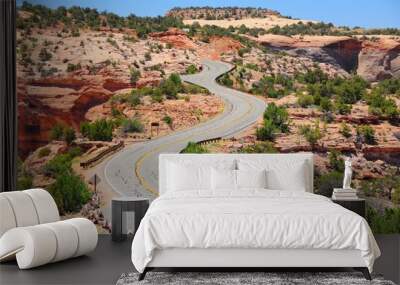 Road in Utah - Canyonlands National Park, USA Wall mural