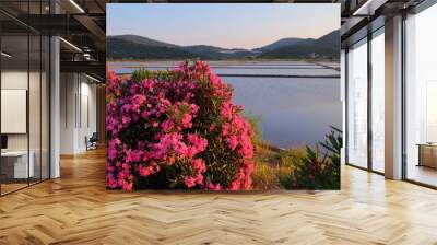 Saltworks evaporative ponds in Ston, Croatia Wall mural