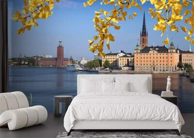 Stockholm city - autumn leaves seasonal view. Wall mural