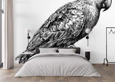 black and white engrave isolated parrot vector illustration Wall mural