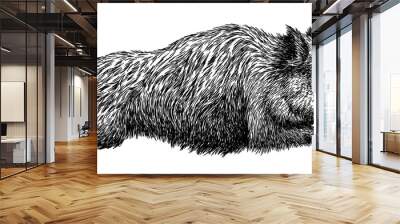 black and white engrave isolated pig illustration Wall mural