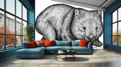 black and white engrave isolated wombat illustration Wall mural