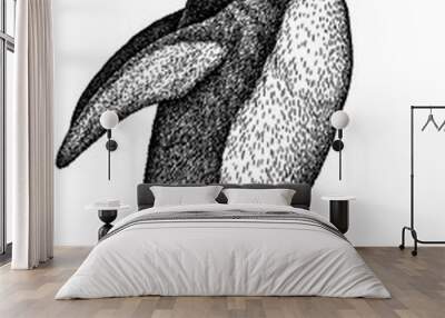 black and white linear paint draw penguin illustration Wall mural