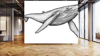 Vintage engrave isolated blue whale set illustration humpback ink sketch. Wild cachalot background line giant dolphin art Wall mural