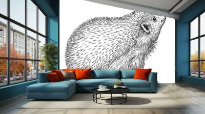 Vintage engrave isolated hedgehog set illustration cut ink sketch. Wild pet background line hedge art Wall mural