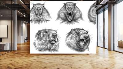 Vintage engraving isolated marmot set illustration groundhog ink sketch. Woodchuck background silhouette art. Black and white hand drawn image Wall mural