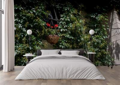 House facade of plants Wall mural