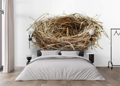 Bird s nest alone on white backdrop Wall mural