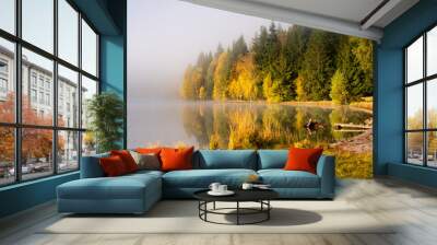 autumn landscape in the mountains with trees reflecting in the water at St. Ana's lake, Romania Wall mural