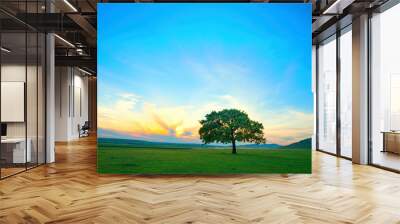 lonely tree on field at dawn in summer Wall mural