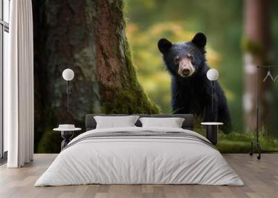 A cute curious black bear cub peek in the woods. Generative AI illustration. Wall mural