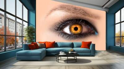 Mystic amber eye, witch witchcraft concept, fairy-tale look, fairy or young woman with beautiful make-up and yellow colored lenses for eyes. Cosmetics for make-up eyes. Open eye, Halloween Wall mural