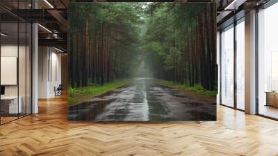 A Paved Road Through a Dense Pine Forest After Rain Wall mural