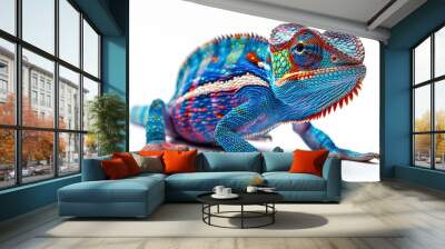 Blue lizard Panther chameleon isolated on white background Wall mural