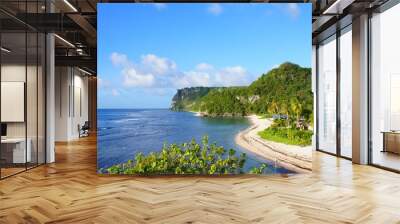 the beautiful beach in guam Wall mural