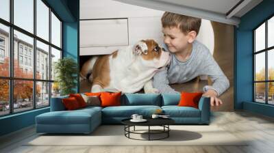 Cute boy plays on the floor on a carpet with puppies of English bulldog Wall mural