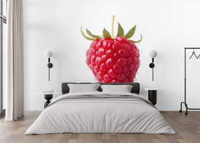 A single raspberry fruit on white background Wall mural