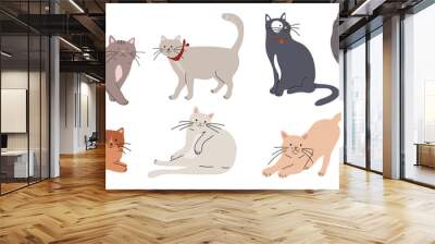 Cute and funny cats doodle vector set. Cartoon cat or kitten characters design collection with flat color in different poses. Set of purebred pet animals isolated on white background. Wall mural