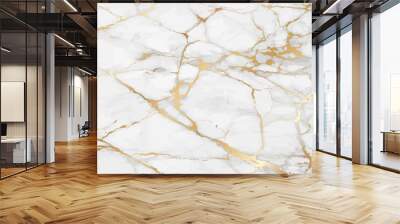 Luxury Marble background with gold pattern texture vector. Wall mural