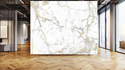 Luxury Marble background with golden pattern texture vector. Wall mural