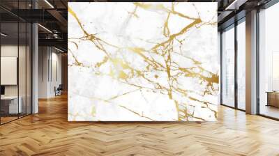 Marble vector design with gold texture design for luxury packaging wedding card and cover design template. Wall mural