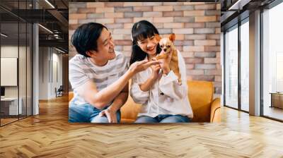 Young Asian male and female pet owners play with Chihuahua dog in indoors living room at home. They both sit on sofa and enjoy playing with dog. Modern couple life concept Wall mural