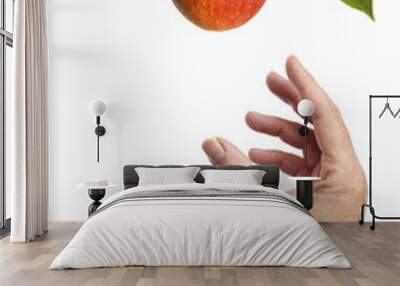 Male Hand reaching for an apple on a branch Wall mural