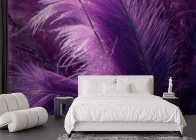 Purple colour is nature form. Wall mural