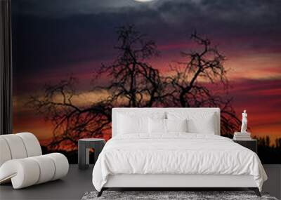 Dramatic sunset, with ghost tree and full moon Wall mural