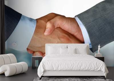 Closeup of a business hand shake between two colleagues Wall mural