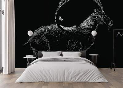 ibex hand drawing vector illustration isolated on black background Wall mural